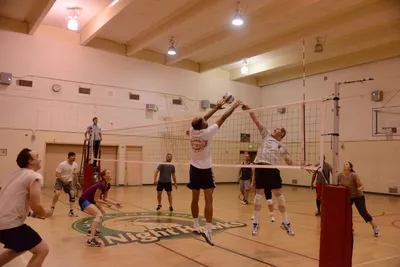 DSC_1884 (Large).JPG